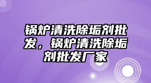 鍋爐清洗除垢劑批發(fā)，鍋爐清洗除垢劑批發(fā)廠家