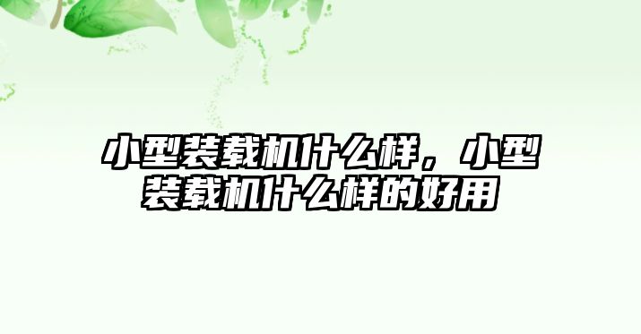 小型裝載機什么樣，小型裝載機什么樣的好用