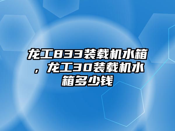 龍工833裝載機(jī)水箱，龍工30裝載機(jī)水箱多少錢