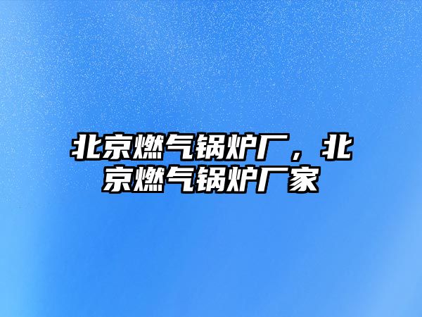 北京燃?xì)忮仩t廠，北京燃?xì)忮仩t廠家