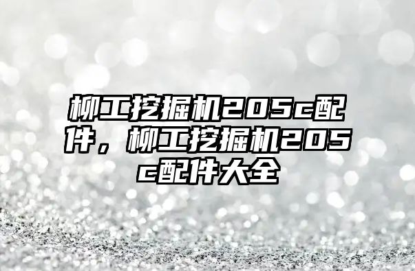 柳工挖掘機(jī)205c配件，柳工挖掘機(jī)205c配件大全