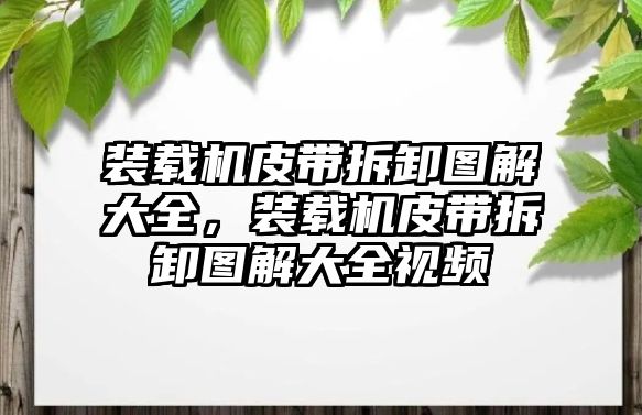 裝載機(jī)皮帶拆卸圖解大全，裝載機(jī)皮帶拆卸圖解大全視頻