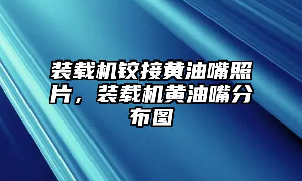 裝載機鉸接黃油嘴照片，裝載機黃油嘴分布圖