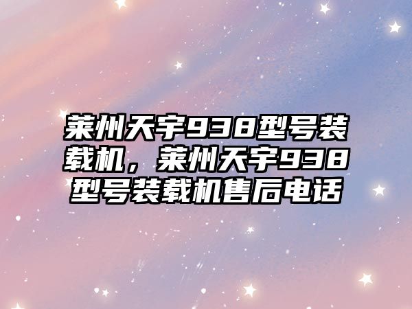 萊州天宇938型號裝載機(jī)，萊州天宇938型號裝載機(jī)售后電話