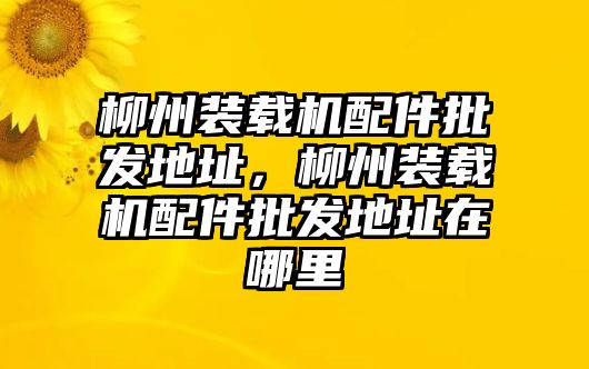 柳州裝載機(jī)配件批發(fā)地址，柳州裝載機(jī)配件批發(fā)地址在哪里