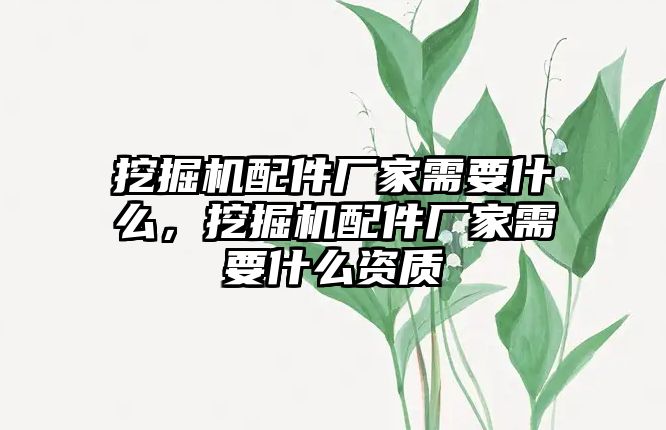 挖掘機配件廠家需要什么，挖掘機配件廠家需要什么資質(zhì)