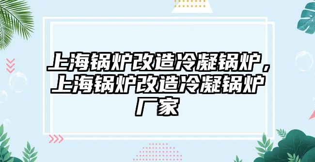 上海鍋爐改造冷凝鍋爐，上海鍋爐改造冷凝鍋爐廠家