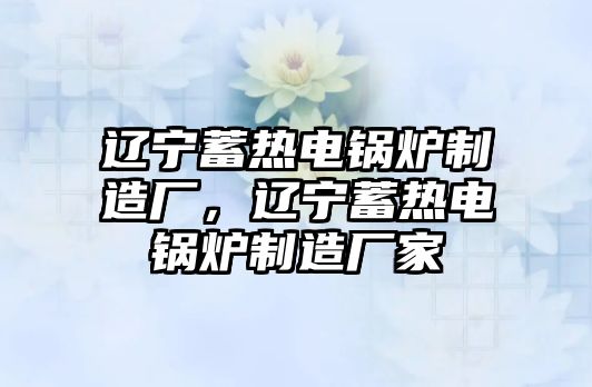 遼寧蓄熱電鍋爐制造廠，遼寧蓄熱電鍋爐制造廠家