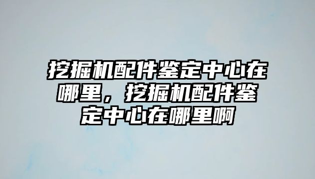 挖掘機配件鑒定中心在哪里，挖掘機配件鑒定中心在哪里啊