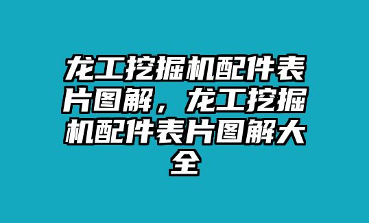 龍工挖掘機配件表片圖解，龍工挖掘機配件表片圖解大全