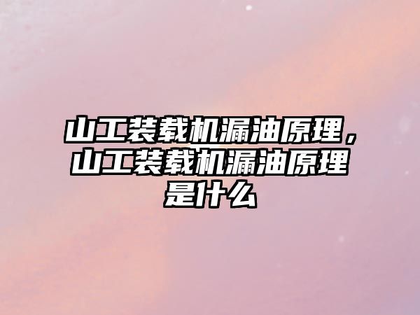 山工裝載機漏油原理，山工裝載機漏油原理是什么