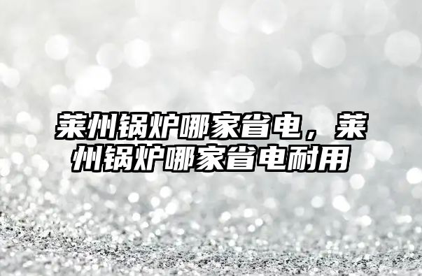 萊州鍋爐哪家省電，萊州鍋爐哪家省電耐用