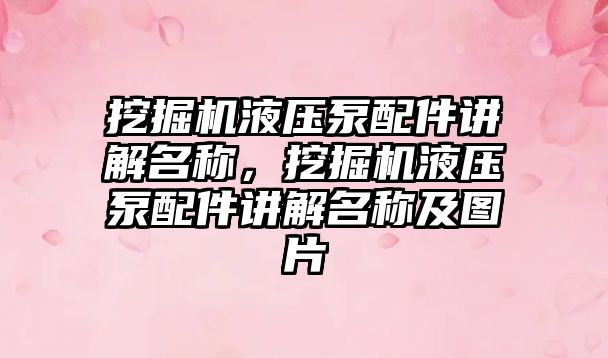 挖掘機液壓泵配件講解名稱，挖掘機液壓泵配件講解名稱及圖片