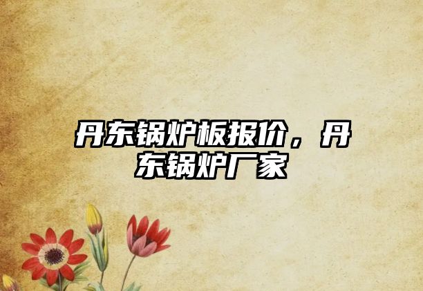 丹東鍋爐板報(bào)價(jià)，丹東鍋爐廠(chǎng)家