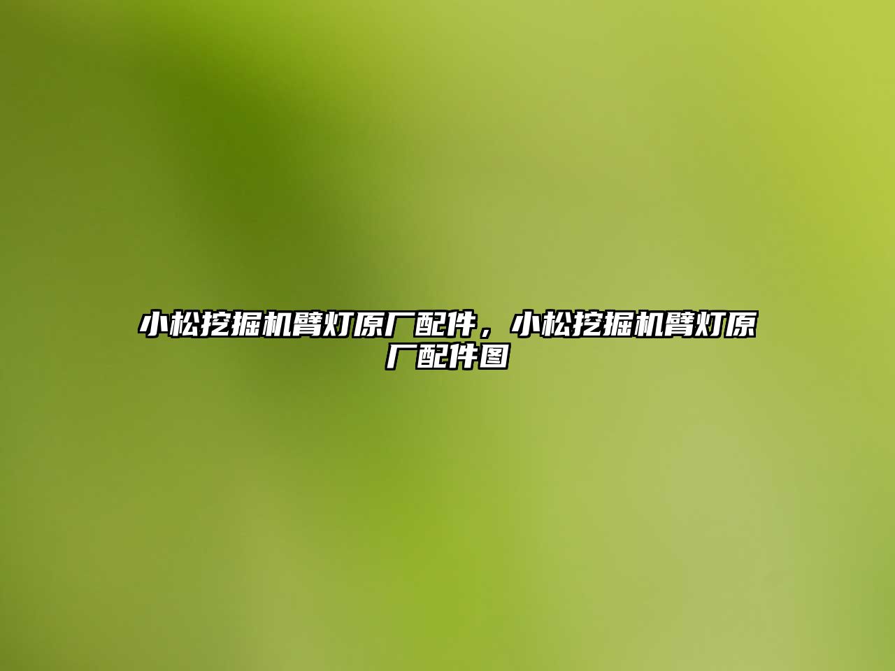 小松挖掘機臂燈原廠配件，小松挖掘機臂燈原廠配件圖