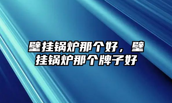 壁掛鍋爐那個好，壁掛鍋爐那個牌子好