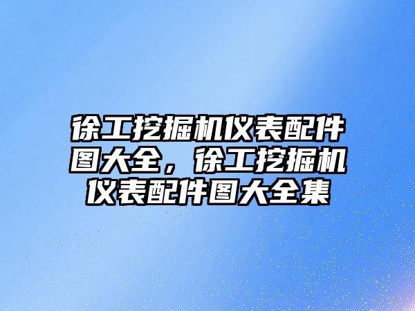 徐工挖掘機儀表配件圖大全，徐工挖掘機儀表配件圖大全集