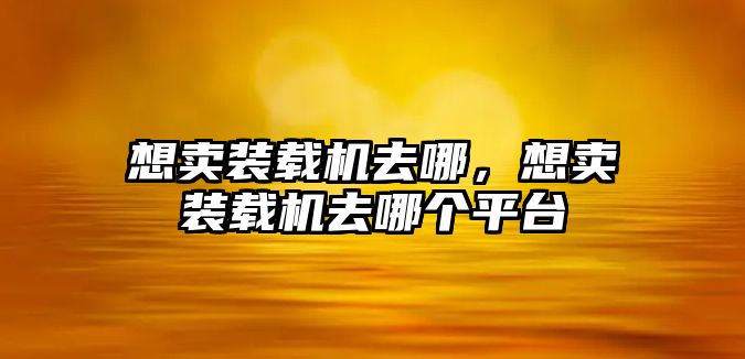 想賣裝載機(jī)去哪，想賣裝載機(jī)去哪個(gè)平臺(tái)