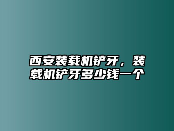 西安裝載機(jī)鏟牙，裝載機(jī)鏟牙多少錢一個(gè)