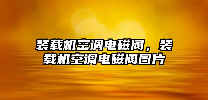 裝載機空調(diào)電磁閥，裝載機空調(diào)電磁閥圖片