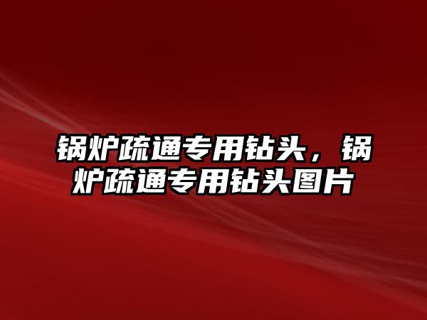 鍋爐疏通專用鉆頭，鍋爐疏通專用鉆頭圖片