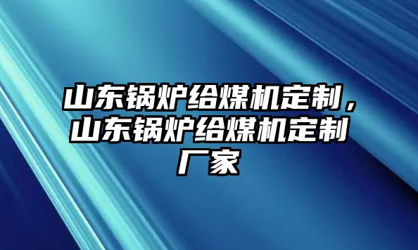 山東鍋爐給煤機(jī)定制，山東鍋爐給煤機(jī)定制廠家