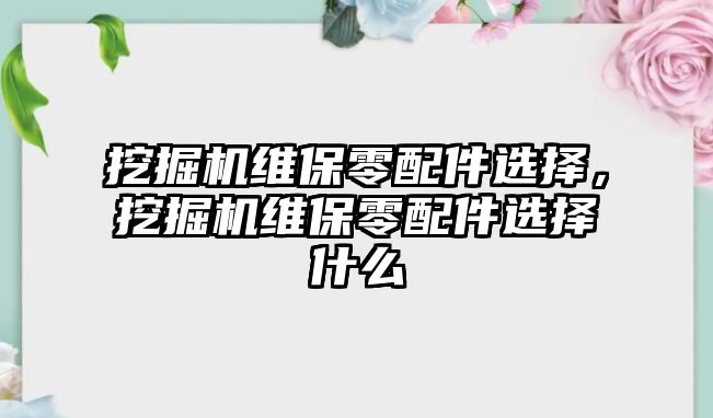 挖掘機維保零配件選擇，挖掘機維保零配件選擇什么