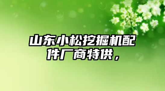 山東小松挖掘機配件廠商特供，