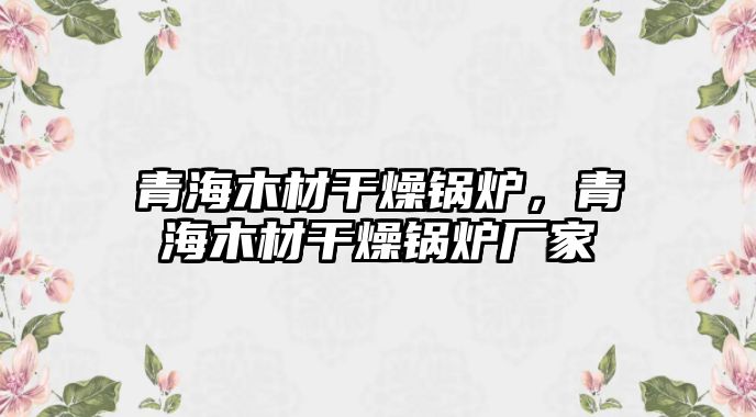 青海木材干燥鍋爐，青海木材干燥鍋爐廠家