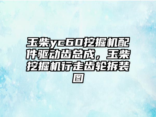 玉柴yc60挖掘機配件驅(qū)動齒總成，玉柴挖掘機行走齒輪拆裝圖