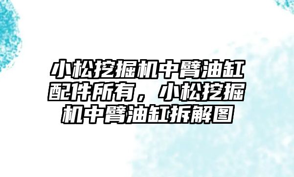 小松挖掘機中臂油缸配件所有，小松挖掘機中臂油缸拆解圖