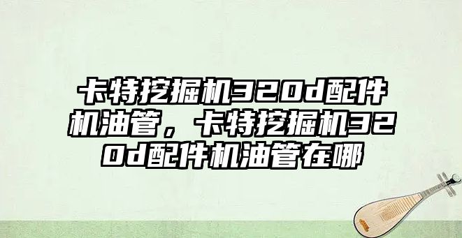 卡特挖掘機(jī)320d配件機(jī)油管，卡特挖掘機(jī)320d配件機(jī)油管在哪