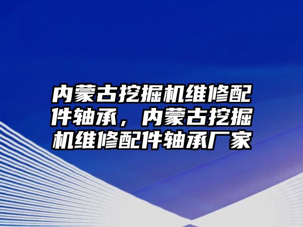 內蒙古挖掘機維修配件軸承，內蒙古挖掘機維修配件軸承廠家