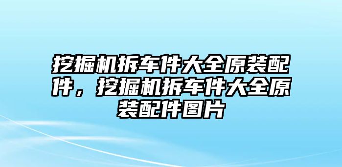 挖掘機(jī)拆車件大全原裝配件，挖掘機(jī)拆車件大全原裝配件圖片