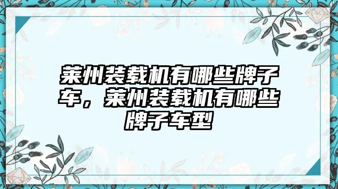 萊州裝載機(jī)有哪些牌子車，萊州裝載機(jī)有哪些牌子車型