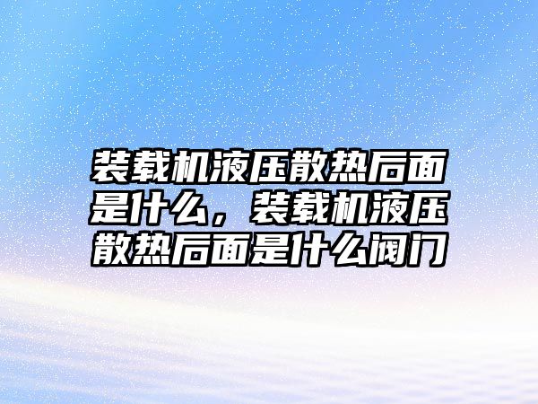 裝載機液壓散熱后面是什么，裝載機液壓散熱后面是什么閥門