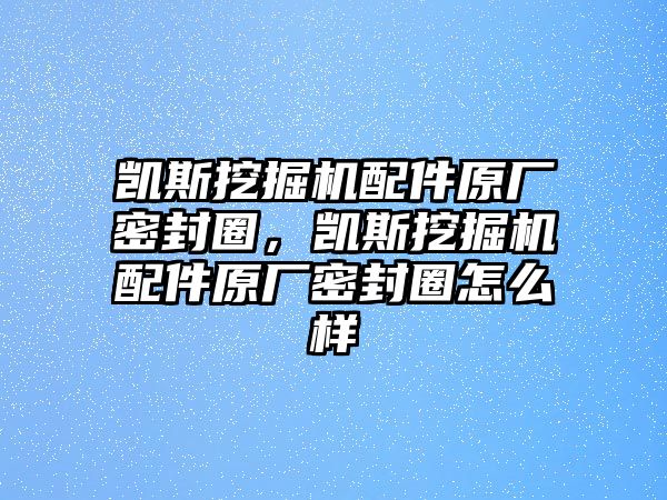 凱斯挖掘機配件原廠密封圈，凱斯挖掘機配件原廠密封圈怎么樣