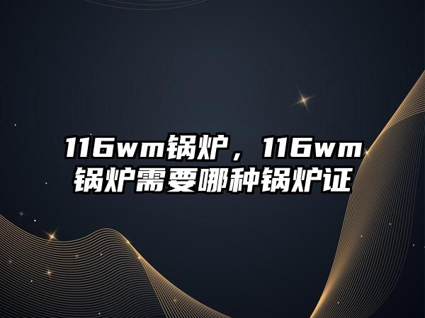 116wm鍋爐，116wm鍋爐需要哪種鍋爐證