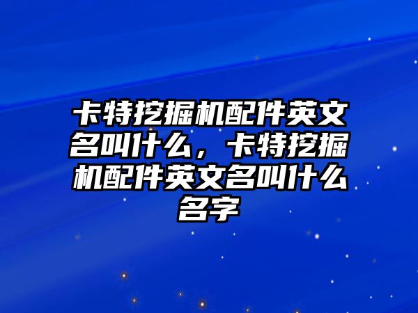 卡特挖掘機(jī)配件英文名叫什么，卡特挖掘機(jī)配件英文名叫什么名字