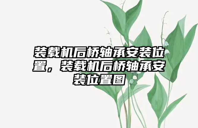 裝載機(jī)后橋軸承安裝位置，裝載機(jī)后橋軸承安裝位置圖