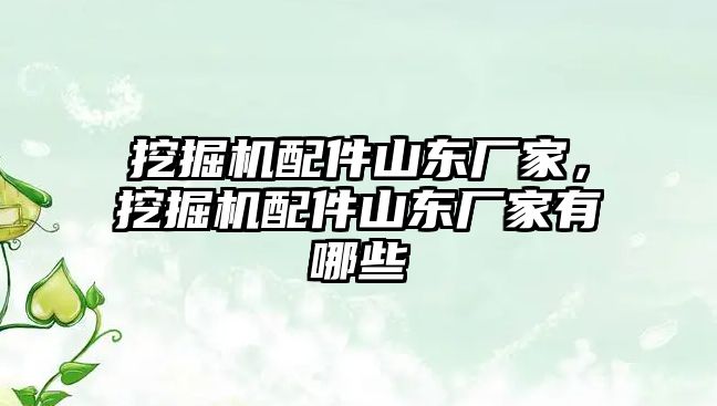 挖掘機配件山東廠家，挖掘機配件山東廠家有哪些