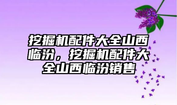 挖掘機配件大全山西臨汾，挖掘機配件大全山西臨汾銷售