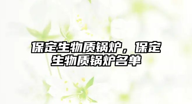 保定生物質(zhì)鍋爐，保定生物質(zhì)鍋爐名單