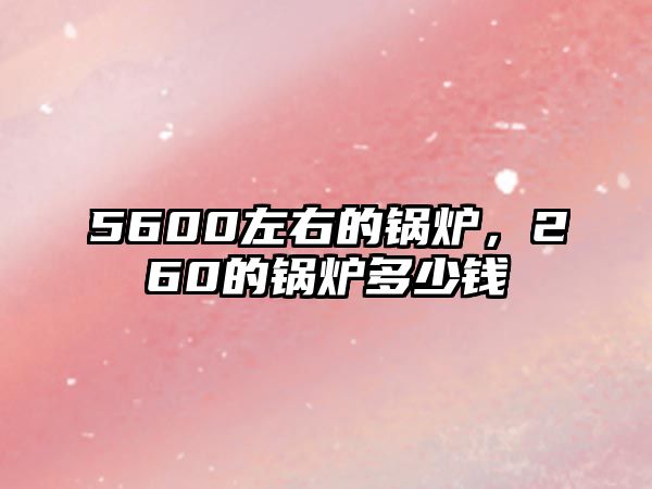 5600左右的鍋爐，260的鍋爐多少錢