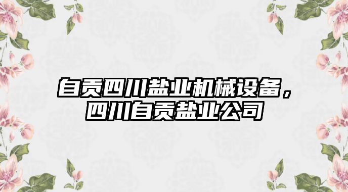 自貢四川鹽業(yè)機械設備，四川自貢鹽業(yè)公司