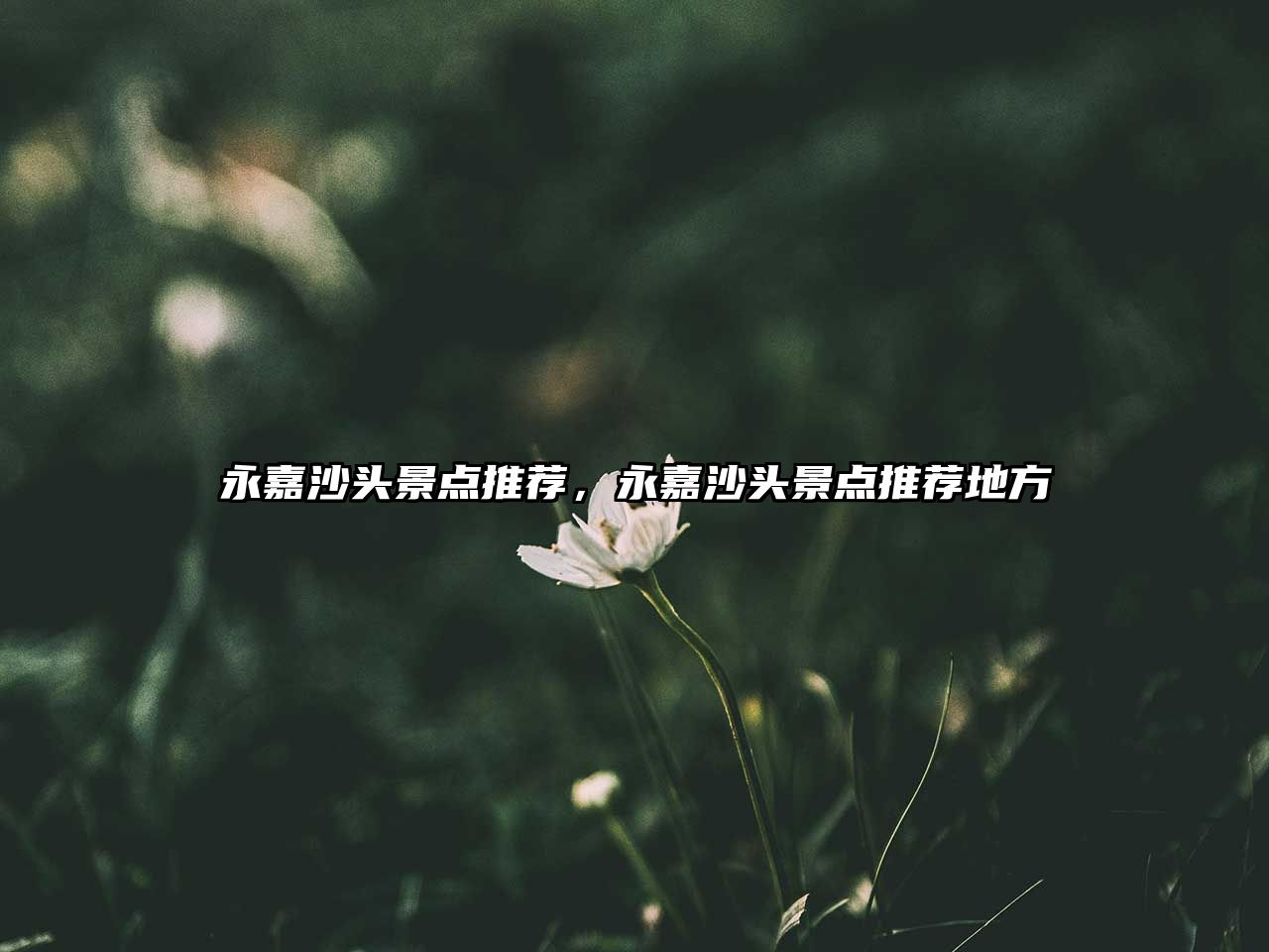 永嘉沙頭景點(diǎn)推薦，永嘉沙頭景點(diǎn)推薦地方