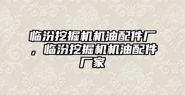 臨汾挖掘機機油配件廠，臨汾挖掘機機油配件廠家