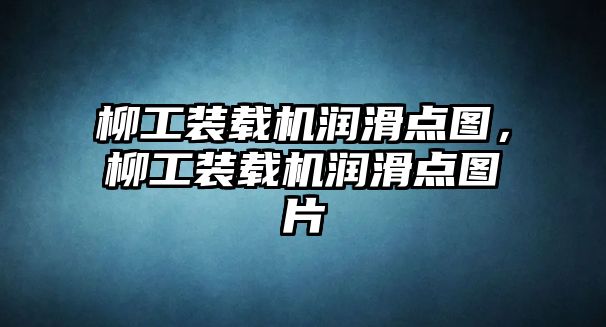 柳工裝載機(jī)潤(rùn)滑點(diǎn)圖，柳工裝載機(jī)潤(rùn)滑點(diǎn)圖片