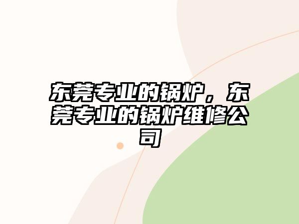 東莞專業(yè)的鍋爐，東莞專業(yè)的鍋爐維修公司