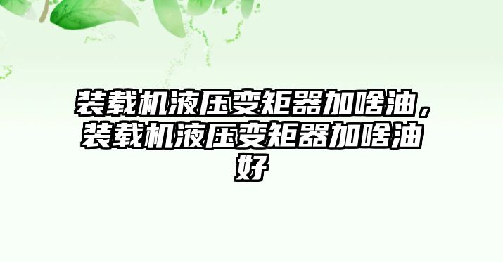 裝載機液壓變矩器加啥油，裝載機液壓變矩器加啥油好